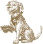 Bredwell Icon: Dog