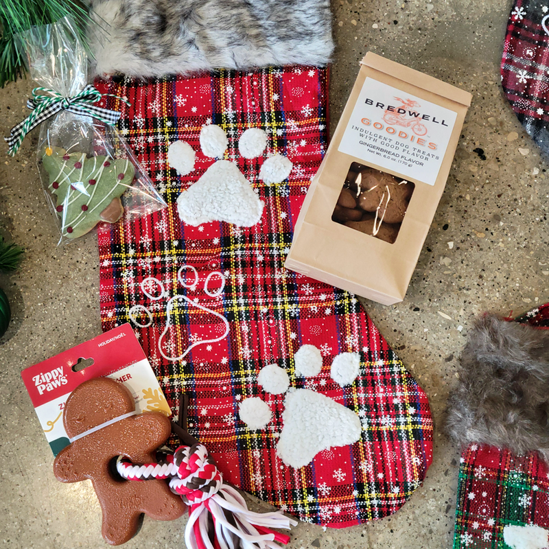 Bredwell 2024 Holiday Stocking | Plaid Paws Red