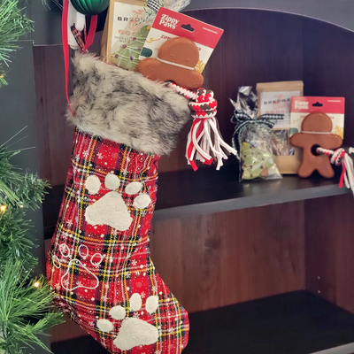 Bredwell 2024 Holiday Stocking | Display Product